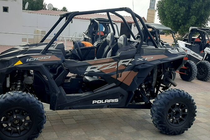 Private Abu Dhabi City Tour Transfer From Dubai & Sharjah - Personalized Travel Experience