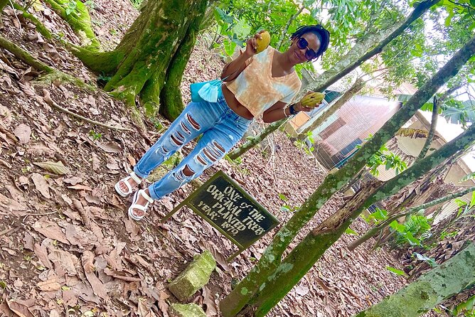 Private Aburi Hill Guided Tour - Cancellation and Booking Policies