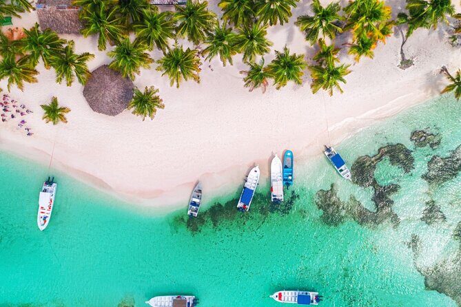 Private Activity Speedboat Ride and Snorkeling in Punta Cana - Real Traveler Insights