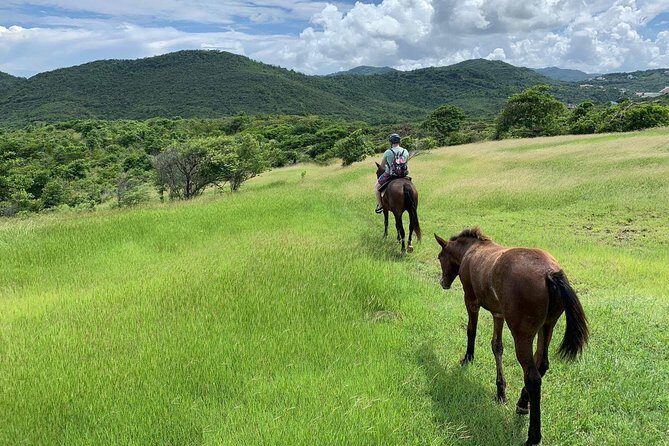 Private Advanced Horseback Beach Ride with Sandy Hoofs St. Lucia - Introducing the Private Advanced Horseback Beach Ride with Sandy Hoofs St. Lucia
