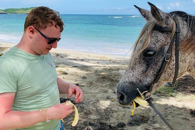 Private Advanced Horseback Beach Ride with Sandy Hoofs St. Lucia - Final Thoughts: Is It Worth It?
