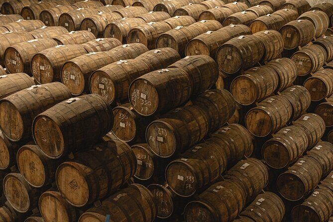 Private Adventure Day Tour to Tequila and Cazcanes Distillery - Detailed Review of the Tour