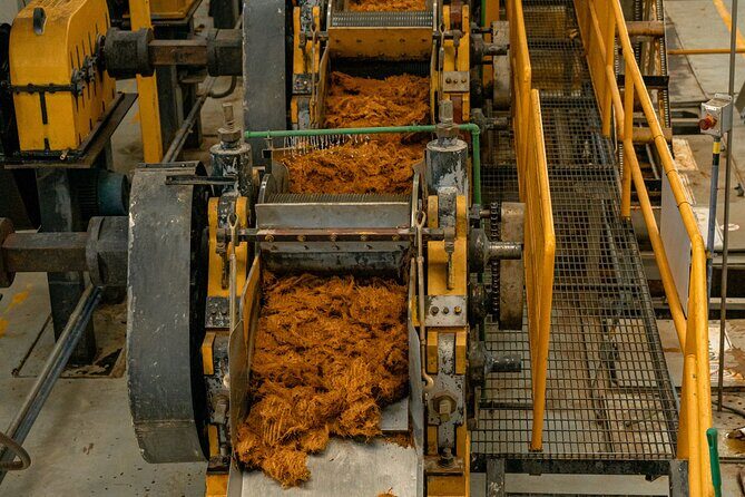 Private Adventure Day Tour to Tequila and Cazcanes Distillery - Why Choose This Tour?