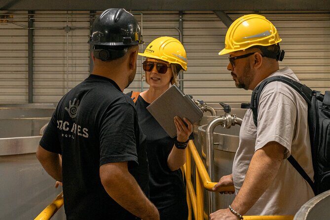 Private Adventure Day Tour to Tequila and Cazcanes Distillery - The Sum Up