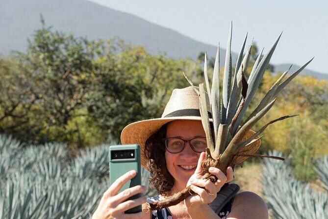 Private Adventure to El Tequileño Distillery and visit to Tequila - Itinerary Breakdown: What You Can Expect