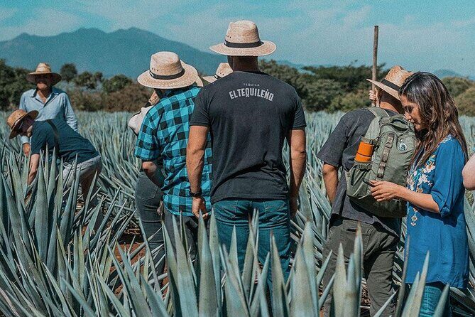 Private Adventure to El Tequileño Distillery and visit to Tequila - Who Will Love This Tour?
