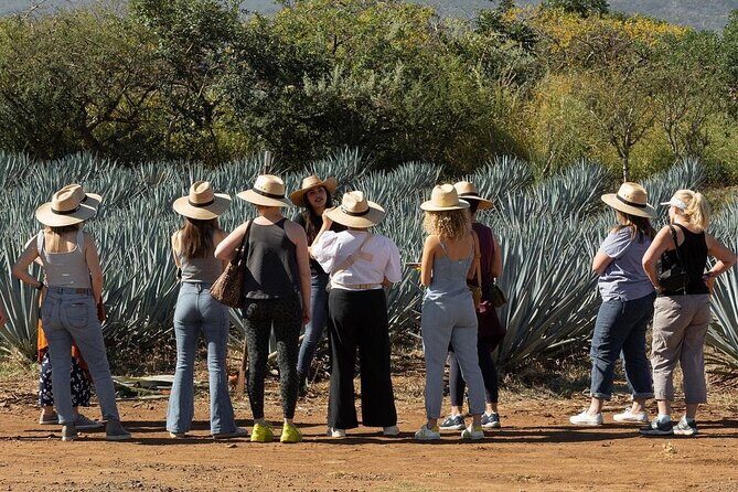 Private Adventure to El Tequileño Distillery and visit to Tequila - Final Thoughts