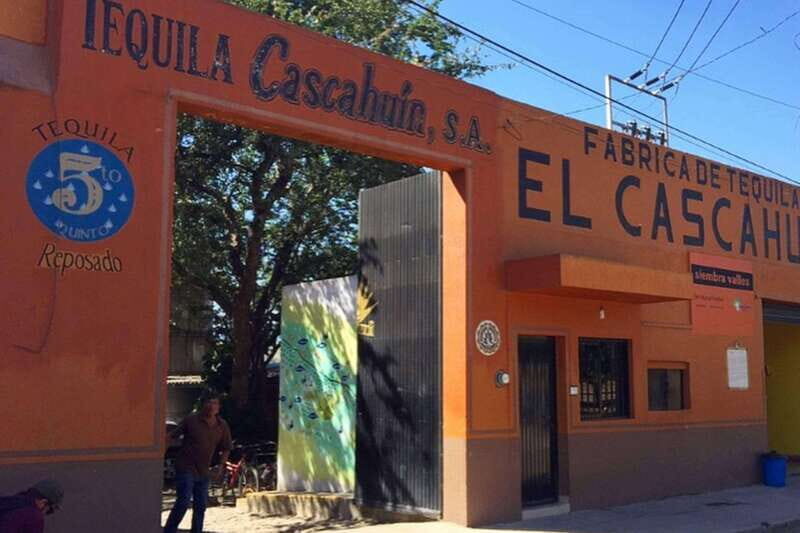 Private Adventure to Tequila and el Cascahuin Distillery - The Experience’s Best Fit