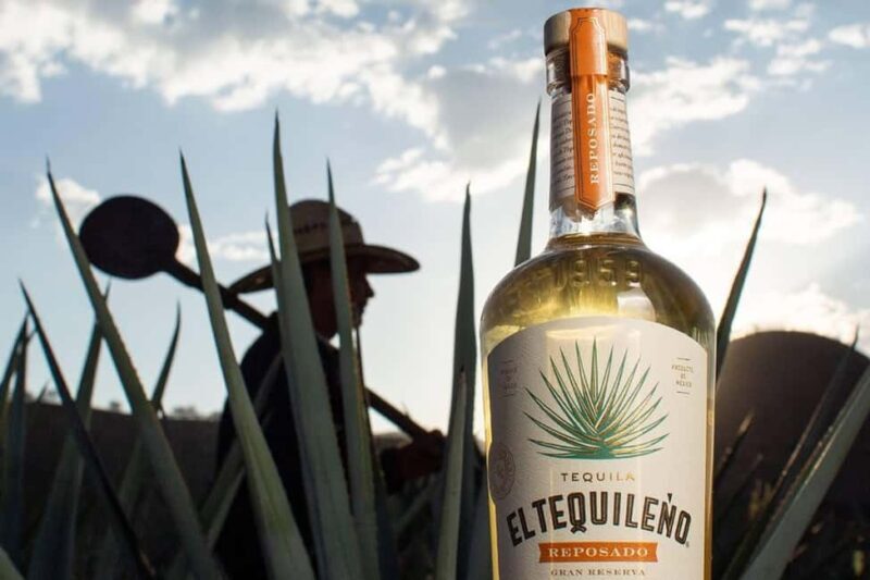 Private Adventure to Tequila and Tequila El Tequileño - An Authentic Look at Tequila El Tequileño