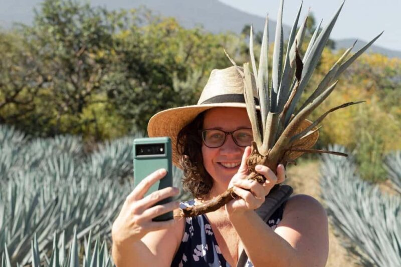 Private Adventure to Tequila and Tequila El Tequileño - Who Will Appreciate This Tour?