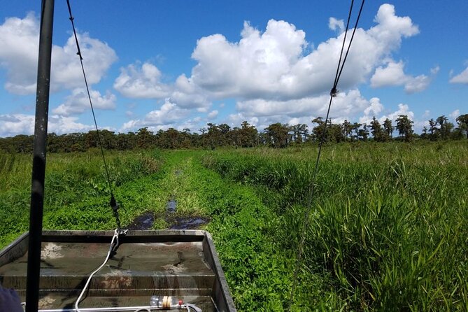 Private Airboat Swamp Tour - Inclusions and Amenities