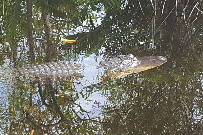 Private Airboat Tours Near West Palm Beach - Final Recommendations