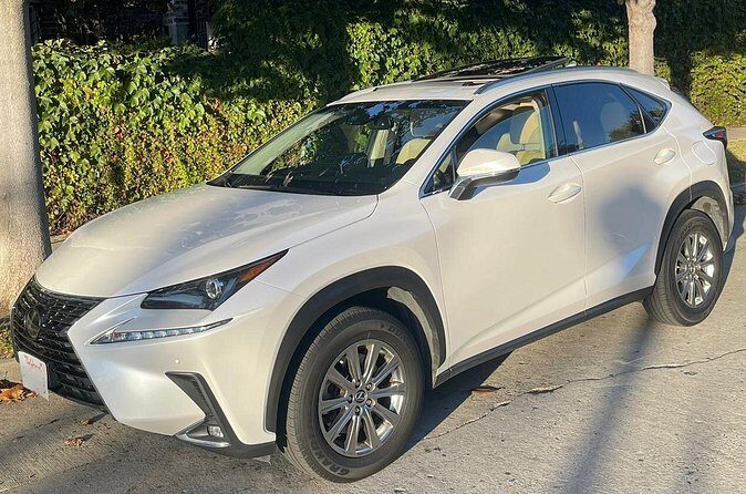 Private Airport Arrivals Rides to Hotel - Transportation, Timing, and Group Size