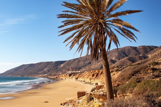 Private Airport Transfer Agadir, Taghazout - Customer Reviews and Ratings