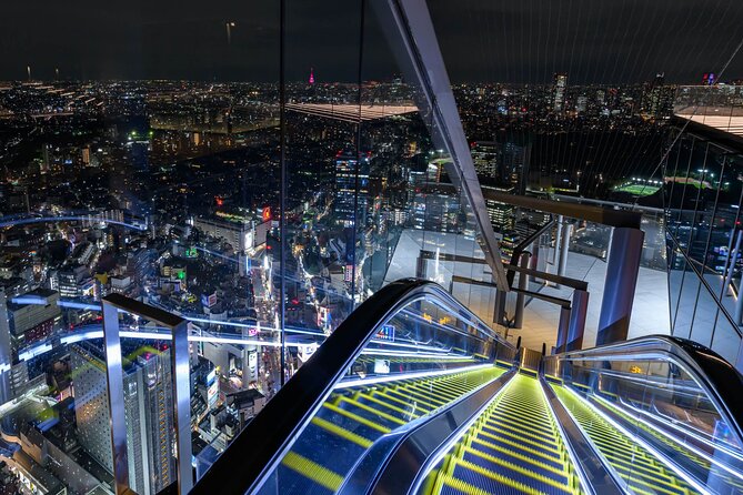 Private Airport Transfer Haneda Airport(HND) to Tokyo City - Passenger Capacity and Accessibility