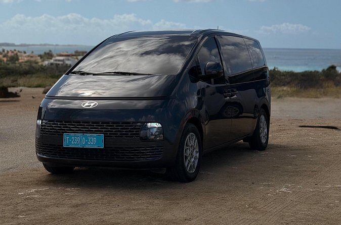 Private Airport Transfer Round-Trip Aruba - Who Should Book This Transfer?