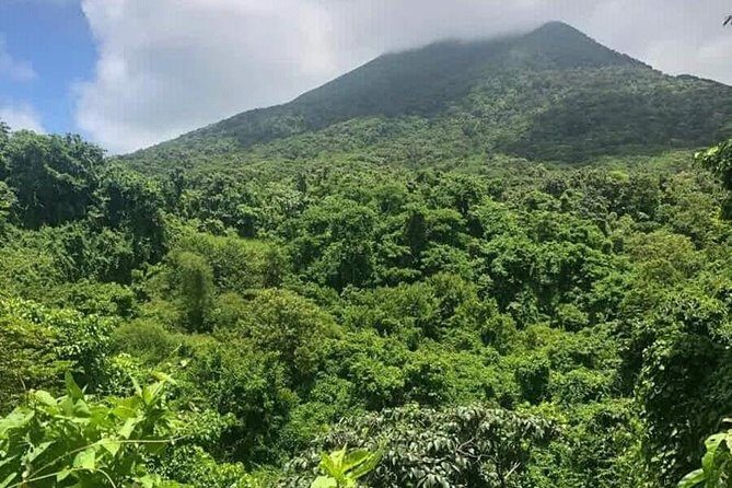 Private Airport Transfer to Belmont Estate Farm, Kititian Hill - Pricing and Value