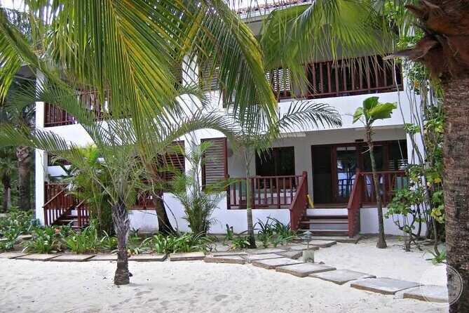 Private Airport Transfer to Couples Swept Away Negril - What Makes This Transfer Worth Considering?  