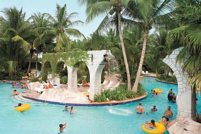 Private Airport Transfer to Dreams Rose Hall Resort - Analyzing the Experience: What You Can Expect