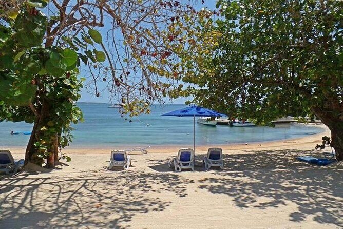 Private Airport Transfer to Hedonism ll Resort - Key Points