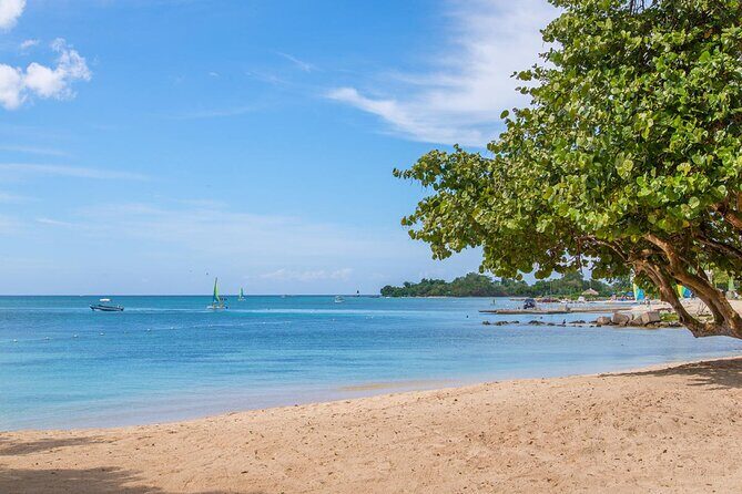 Private Airport Transfer to Hedonism ll Resort - What to Expect from the Transfer