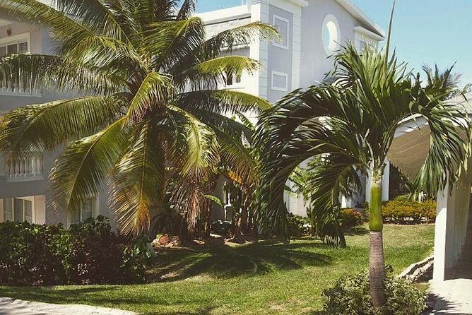 Private Airport Transfer to Lady Hamilton and Grand Palladium - Who Will Appreciate This Service?