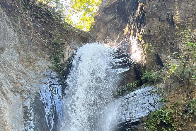 Private Airport Transfers across Bahía de Banderas - What the Reviews Say