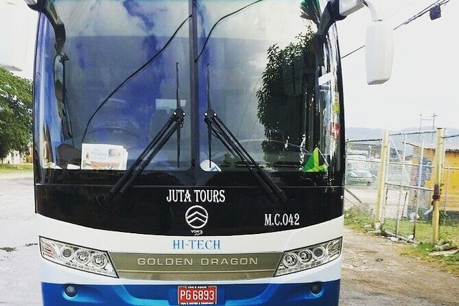 Private Airport Transfers To Negril Hotels and Villas - The Journey: What to Expect from Your Transfer