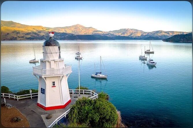 Private Akaroa Day Tour From Christchurch - An Overview of the Tour Experience