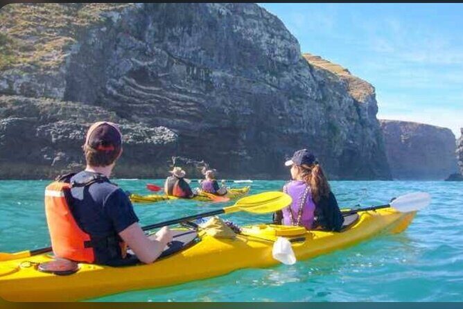 Private Akaroa Day Tour From Christchurch - Who Might Not Love It?