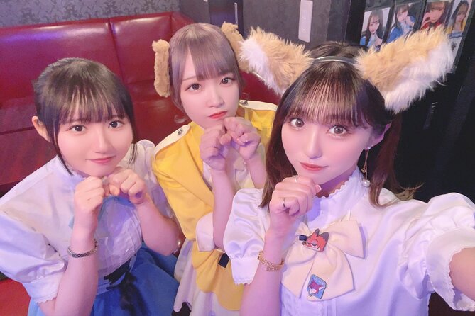 Private Akihabara Retro Tokyo Anime Game Maid Cafe Tour W/ Pickup - Pickup and Meeting Points