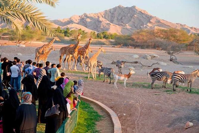 Private Al Ain Tour by 4x4 Vehicle With Zoo Tickets - Good To Know