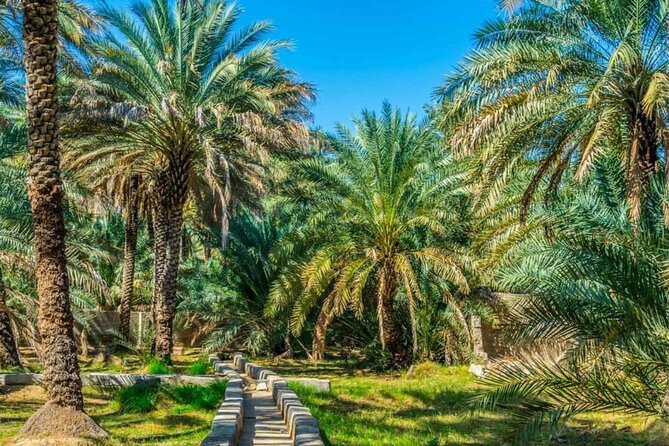 Private Al Ain Tour by 4x4 Vehicle With Zoo Tickets - Transportation Details