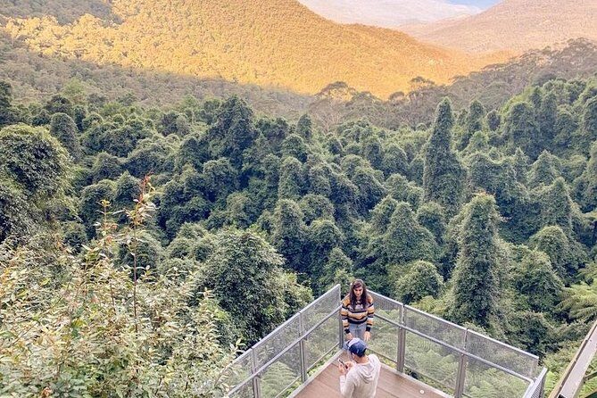 Private All Blue Mountains Day Tour - Frequently Asked Questions