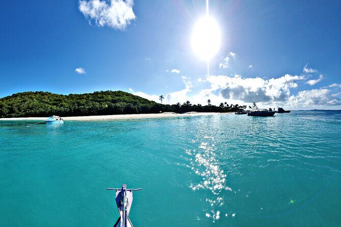 Private All-Inclusive 22ft Boat Guided Snorkeling Icacos Palomino - Who Should Consider This Tour?