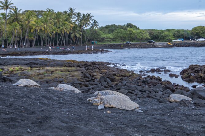 Private - All Inclusive Big Island Circle Tour - Traveler Experiences and Reviews
