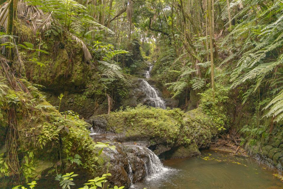 Private - All Inclusive Big Island Waterfalls Tour - Customization and Pickup