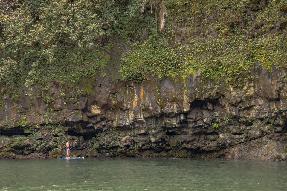 Private - All Inclusive Big Island Waterfalls Tour - Customer Reviews