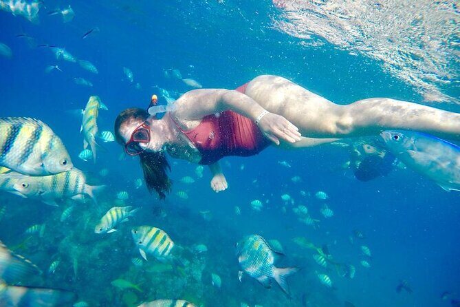 Private all-inclusive snorkeling at sosua beach. - Why This Tour Might Be Your Best Choice