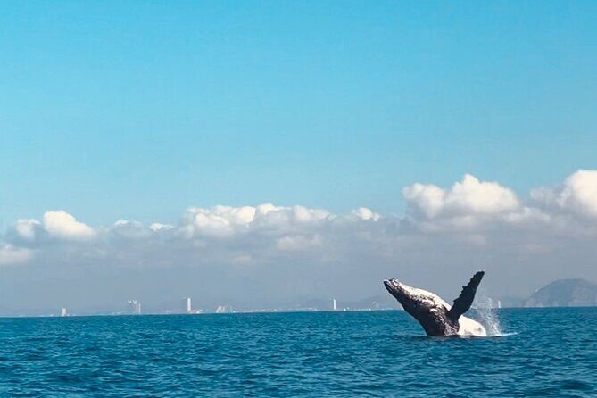 Private All Inclusive Snorkeling Experience in Mazatlan - Frequently Asked Questions