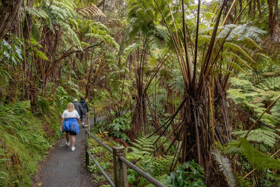 Private - All-Inclusive Volcanoes National Park Tour - Important Information