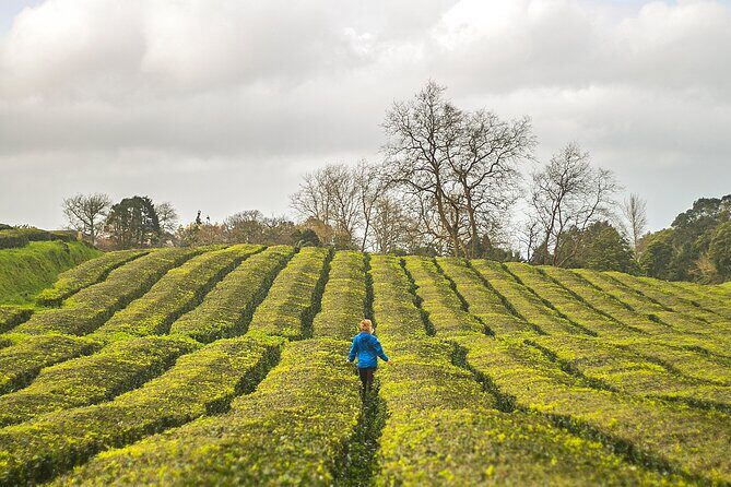 Private - All of Furnas, Tea Plantation, ticket to Beija included - FAQs