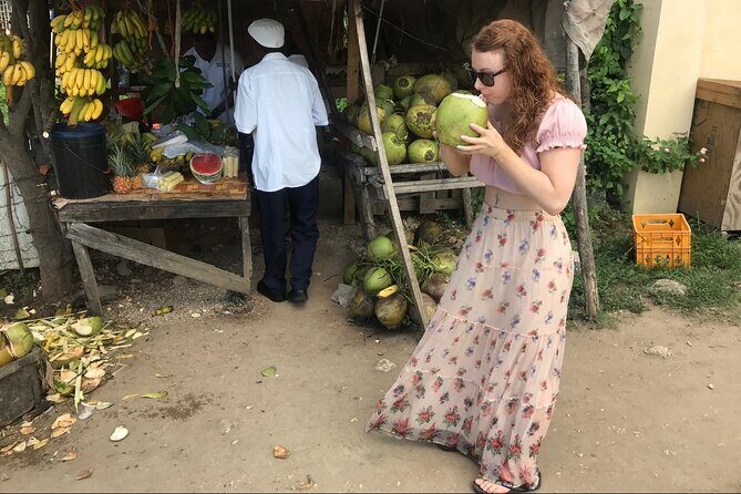 Private and Customize Highlight Tour to Montego Bay from Falmouth - Key Points