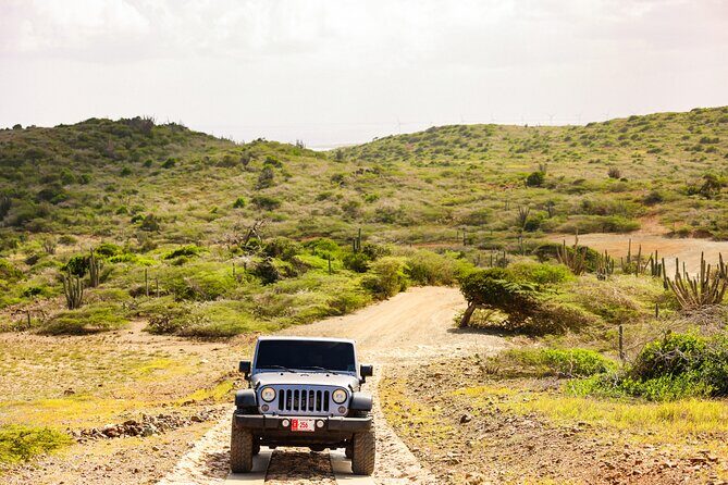 Private and Customized Aruba 4X4 Jeep Adventure - The Experience You’ll Love