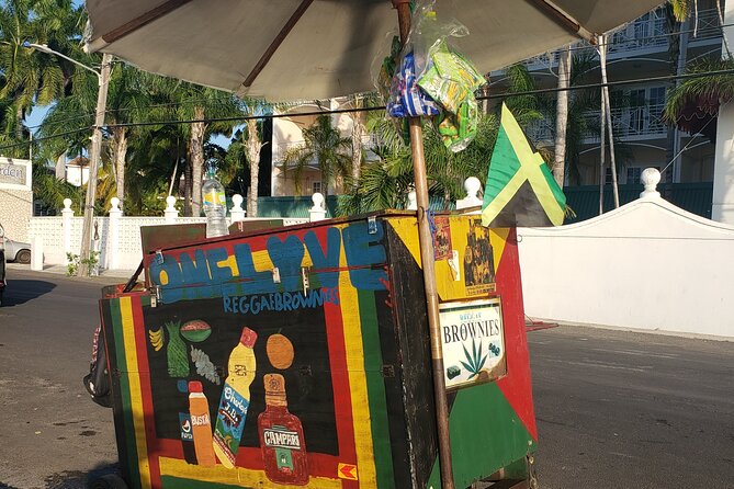 Private and Customized Montego Bay City Tour - Reviews