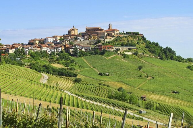 Private and Guided Day at the Barolo Cellars in Piedmont - Key Points