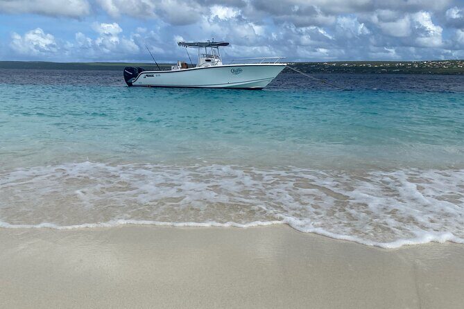 Private and Luxury 2 Stop Snorkel in Bonaire National Marine Park - The Sum Up: A Smart Choice for Authentic Bonaire Snorkeling
