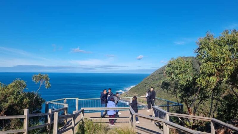 Private and Luxury Great Ocean Road and 12 Apostles Day Tour - An In-Depth Look at the Tour Experience