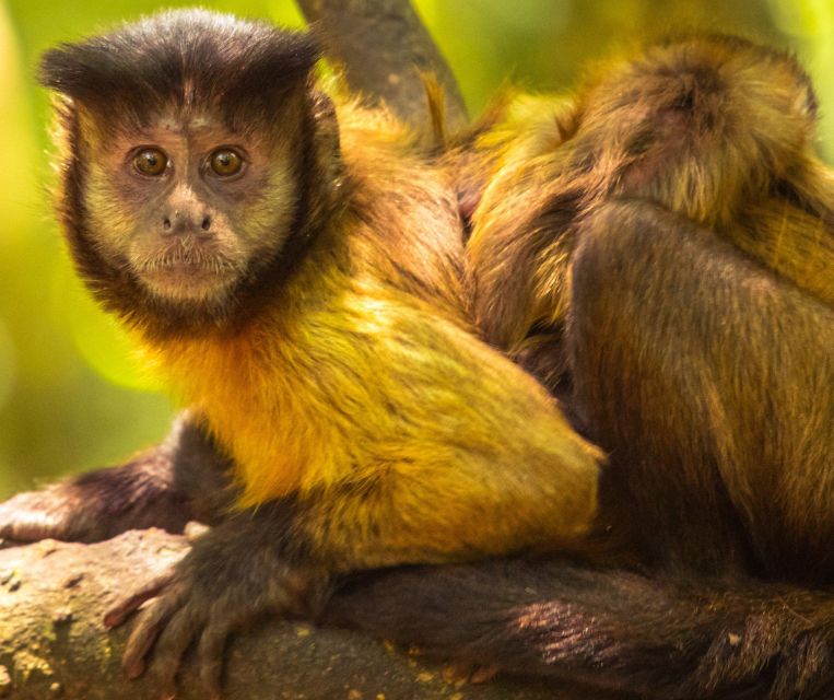 Private Animal Lover's Tour – Half Day - Tour Overview