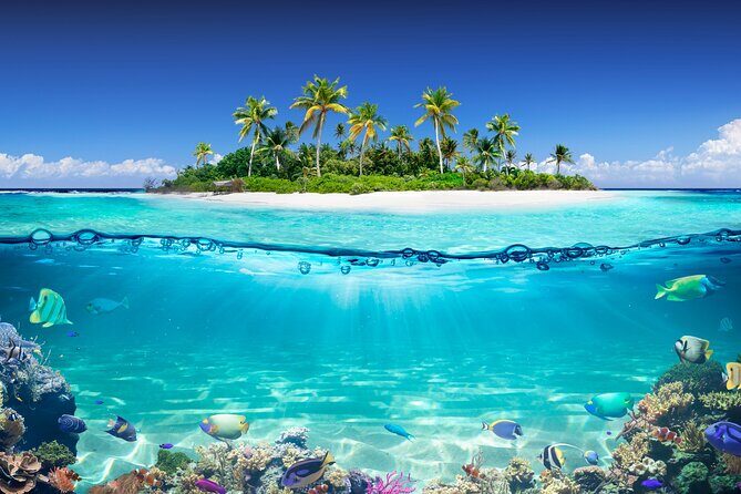 Private Aquafari Tour in Curaçao from Willemstad - Final Thoughts: Who Should Consider This?